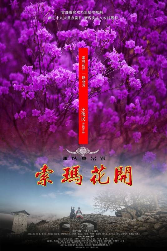 索玛花开（2017王伟民执导电视剧）