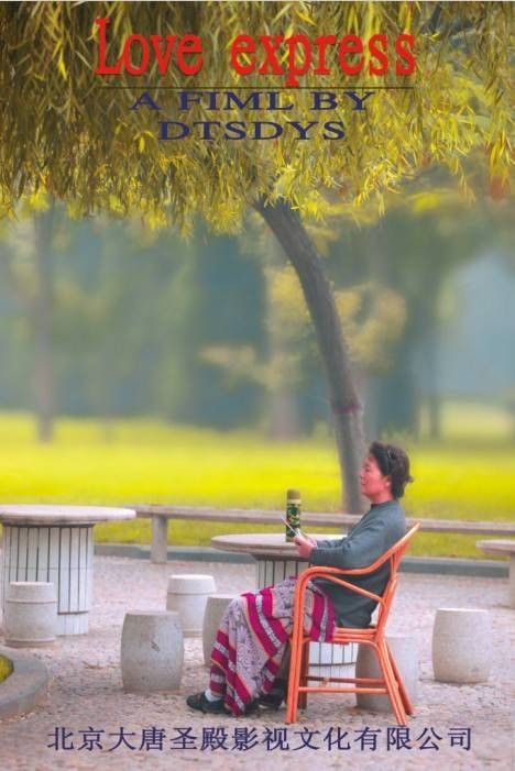 美丽的心灵（2011年富哲平执导的剧情电影）