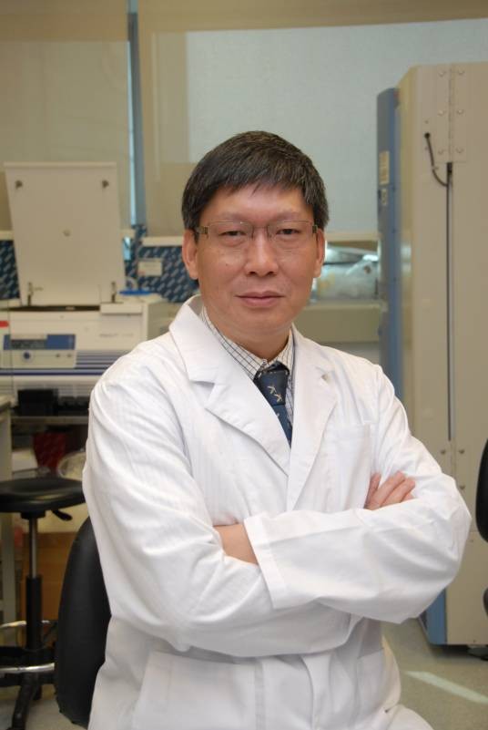 管轶（香港大学教授、英国皇家医学院外籍院士）