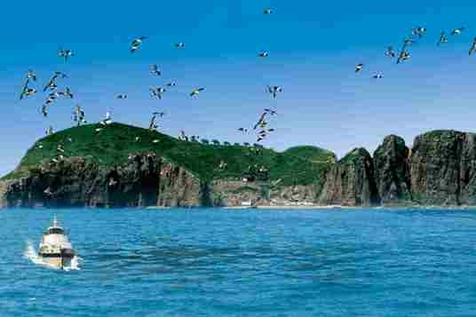 海驴岛（山东地名）