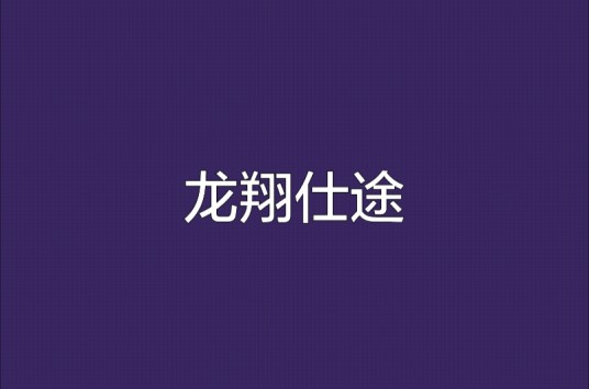 龙翔仕途