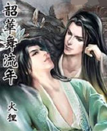 韶华舞流年