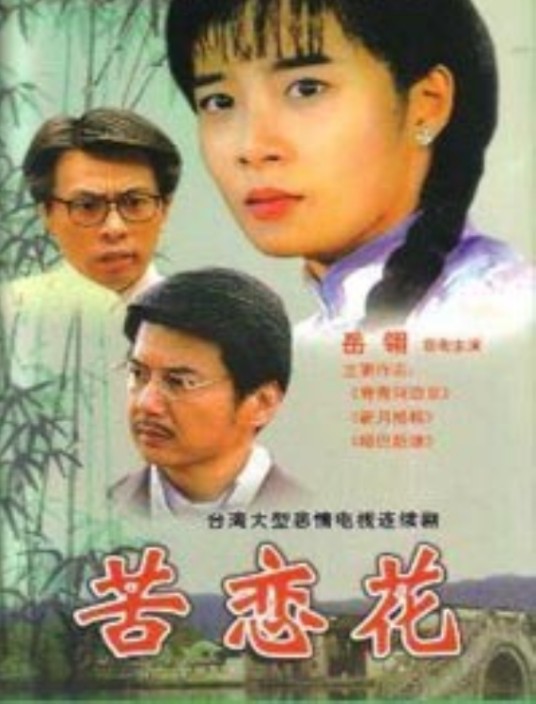 苦恋花（岳翎、潘仪君、杨洁玫、林炜、孟庭丽主演的电视剧）