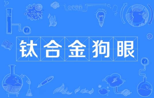 钛合金狗眼