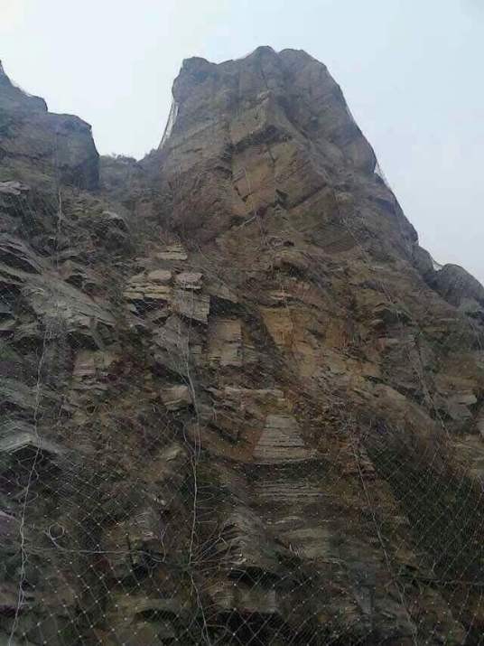 粘聚力