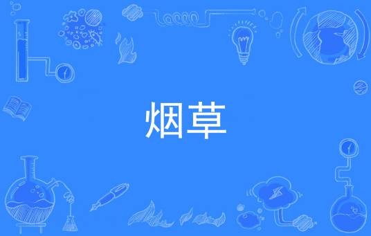 烟草（中国普通高等学校本科专业）