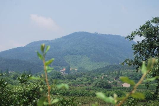 百花村（安徽省合肥市庐江县下辖村）