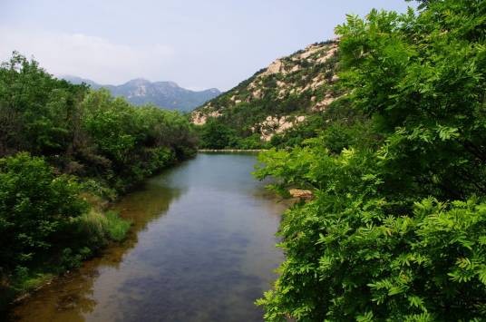 珠山(山东青岛珠山)