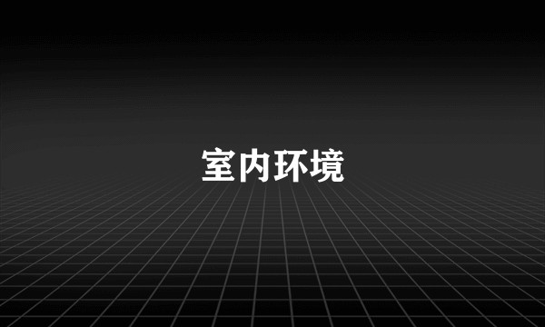 室内环境