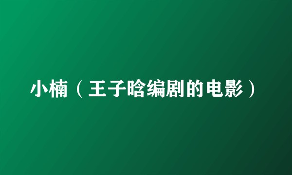 小楠（王子晗编剧的电影）