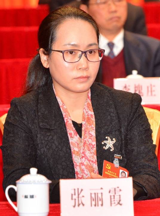 张丽霞（嘉应学院党委委员、副院长）