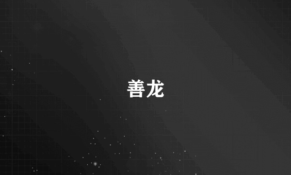 善龙