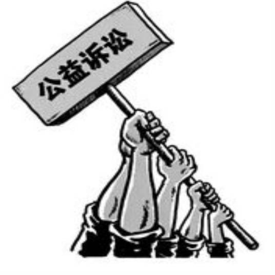 环境公益诉讼(有关环境保护方面的公益性诉讼)
