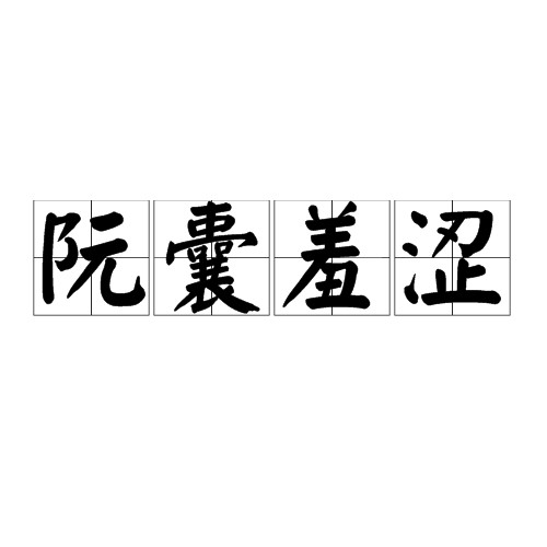阮囊羞涩