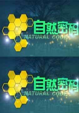 自然密码（云南卫视栏目）