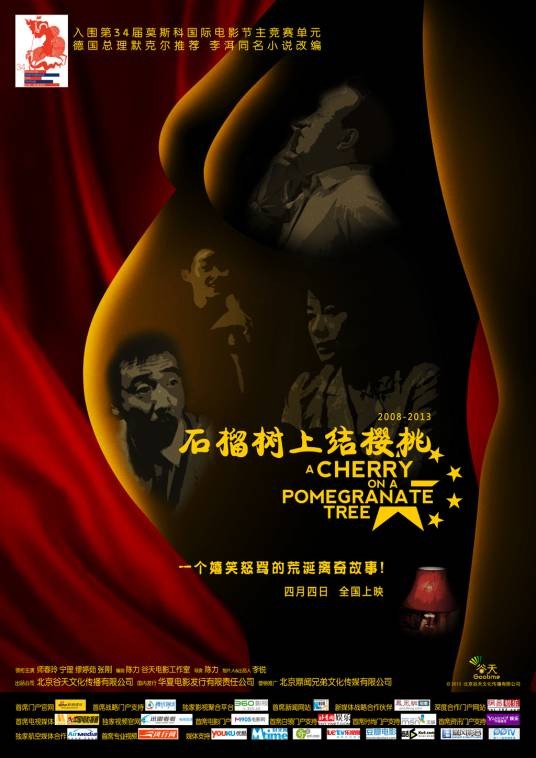 石榴树上结樱桃（2013年陈力执导的电影）