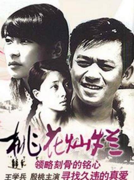 桃花灿烂（2007年方刚亮执导电视剧）