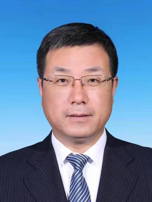 王少峰(北京市丰台区委书记)