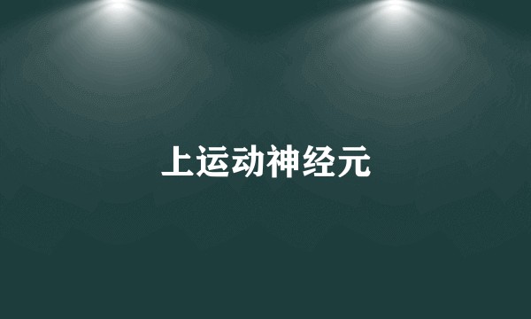 上运动神经元