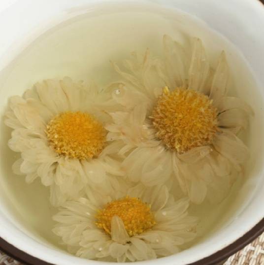 滁菊（菊目菊科植物）