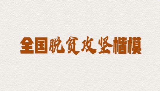 全国脱贫攻坚楷模荣誉称号