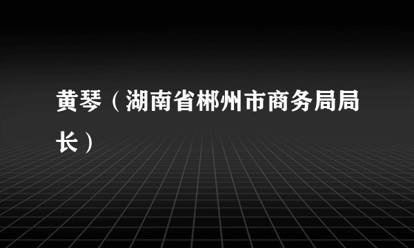 黄琴（湖南省郴州市商务局局长）