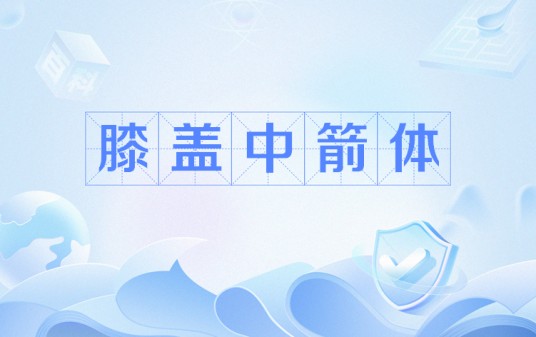 膝盖中箭体