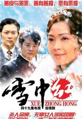 雪中红(2006年台湾苦情电视剧)