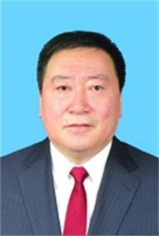 李晓龙（黑龙江省佳木斯市政府党组成员，市公安局党委书记、督察长）