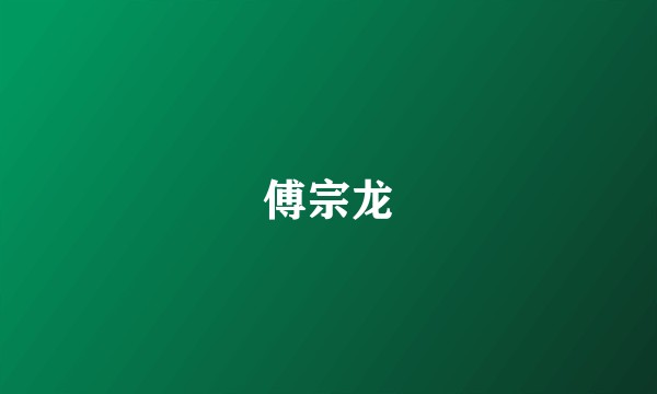 傅宗龙