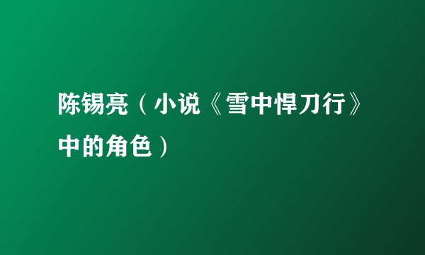 陈锡亮（小说《雪中悍刀行》中的角色）