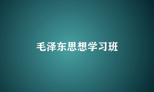毛泽东思想学习班