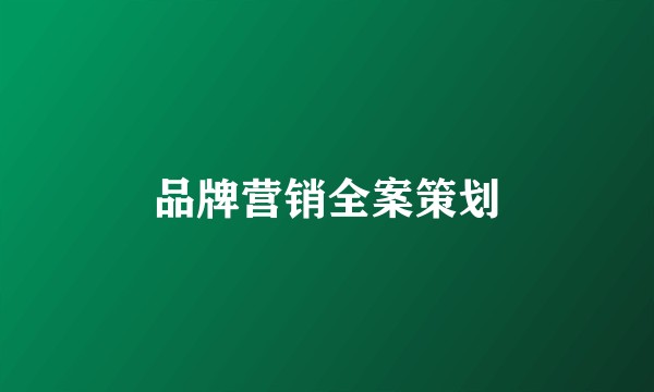 品牌营销全案策划
