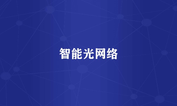 智能光网络