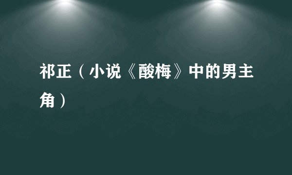 祁正（小说《酸梅》中的男主角）