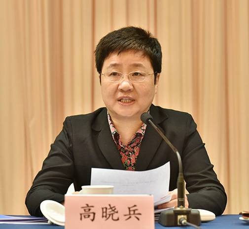 高晓兵（中华人民共和国民政部原副部长）