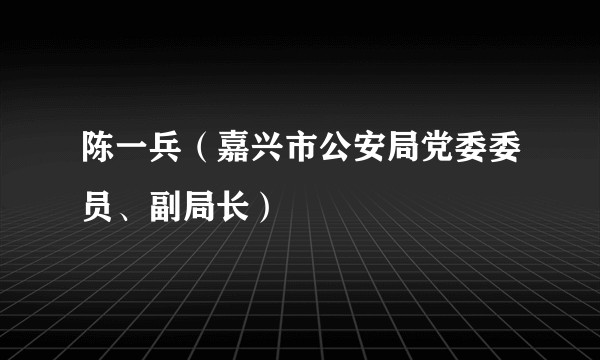 陈一兵（嘉兴市公安局党委委员、副局长）