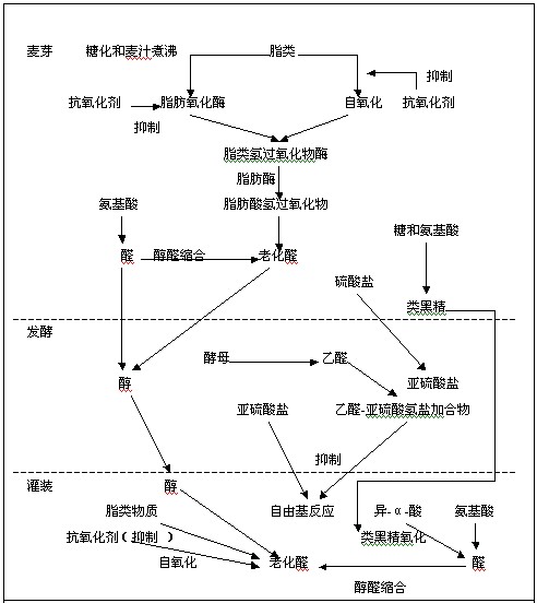 天然抗氧化剂