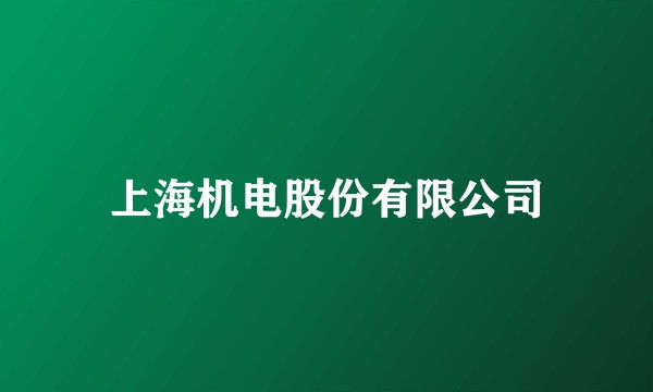 上海机电股份有限公司