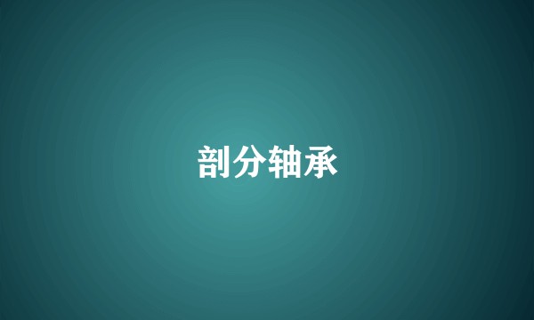 剖分轴承