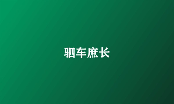 驷车庶长