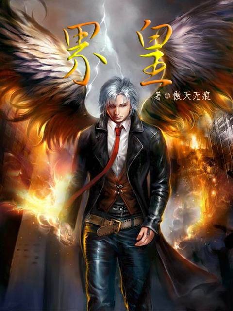 界皇（傲天无痕创作的玄幻类网络小说）