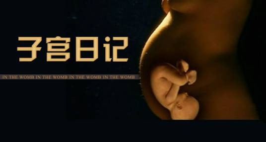 子宫日记（2005年国家地理频道、CCTV-9播出的影片）