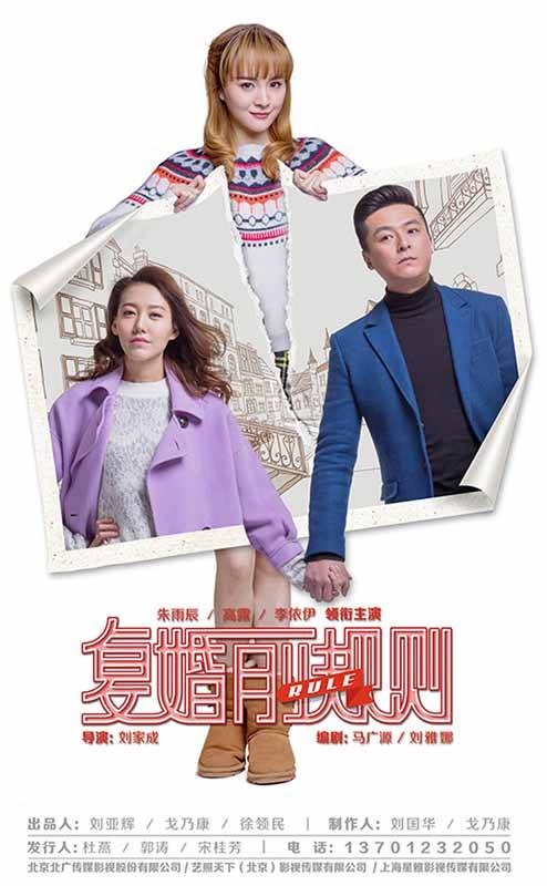 复婚前规则（2017年刘家成执导的电视剧）