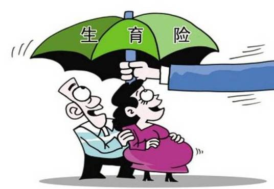 生育保险基金