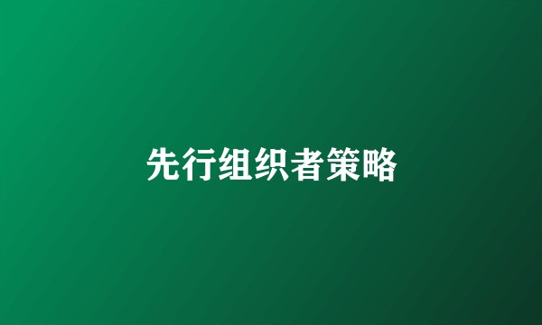 先行组织者策略