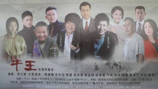 牛王（2020年李墨言执导的电影）