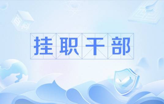 挂职干部（政治名词）