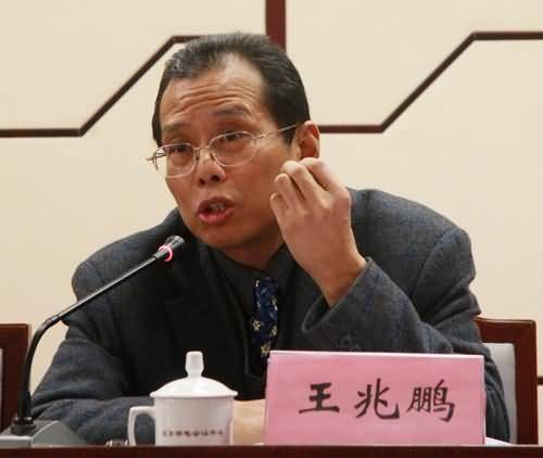 王兆鹏（中南民族大学教授）