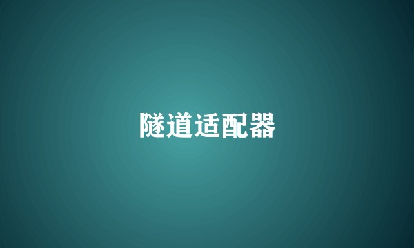隧道适配器